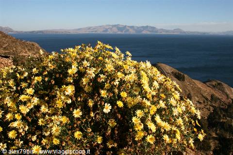 Lago Titicaca