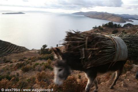 Lago Titicaca