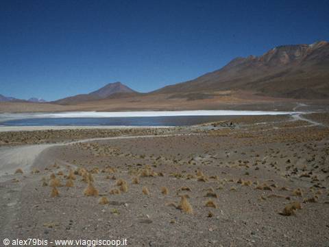Lagoons