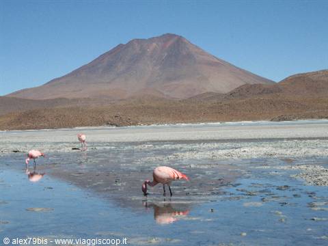 Lagoons