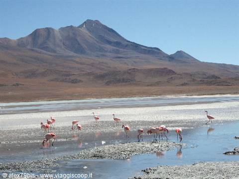 Lagoons