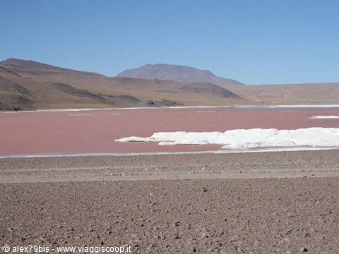 Laguna Colorada