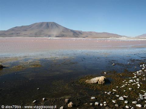 Laguna Colorada