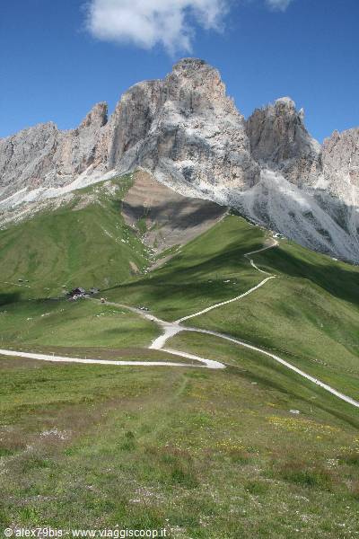 White trails crossing green meadows beneath the rocky Sassolungo Dolomite peaks