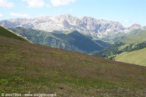 Flowering sloping meadow in front of rugged Dolomite peaks under blue sky