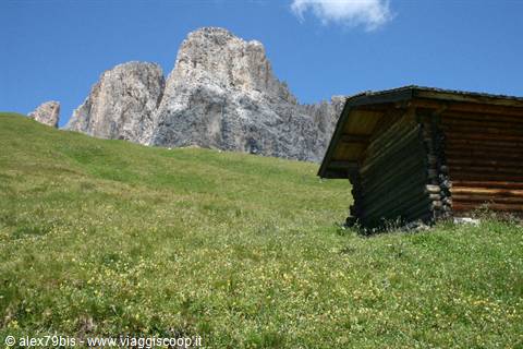 Wooden hut on flowery meadow beneath the Sella Dolomite peaks