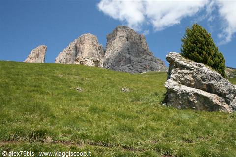 Rocky spires of Cinque Torri above a green meadow with boulder and conifer