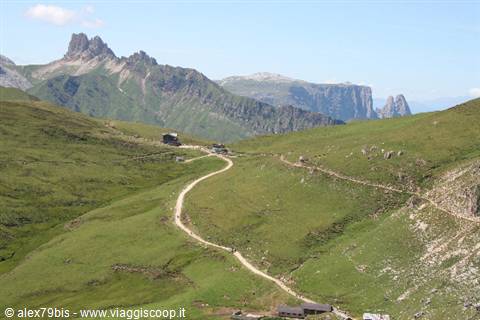 Gravel trail winding through green Dolomite meadows beneath jagged rocky peaks