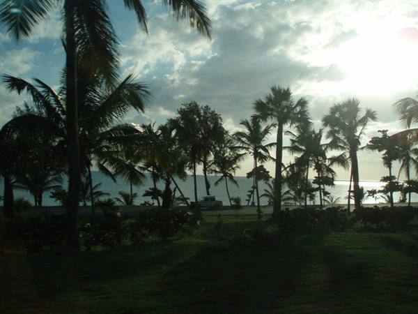 Palm trees against the sea, a car on the road, sunlight breaking through clouds