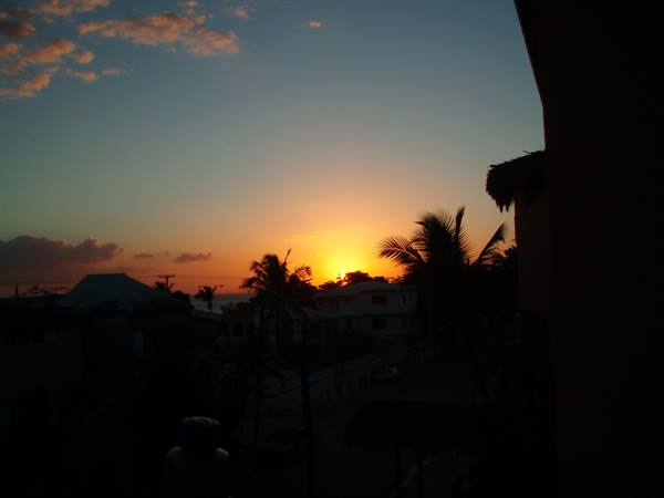 Sun rising behind palm trees and rooftops silhouettes, orange sky