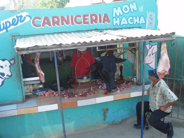 Turquoise butcher shop with hanging cow head, meat on counter, seated customer