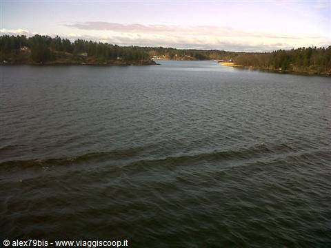 Dark water between sandy beaches and conifer forests, cloudy sky