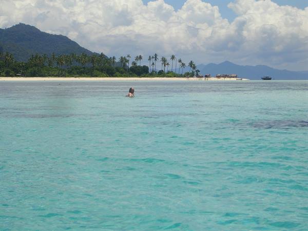 Swimmer in turquoise water before a sandy beach, palm trees and mountains
