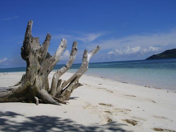 pon-pon island