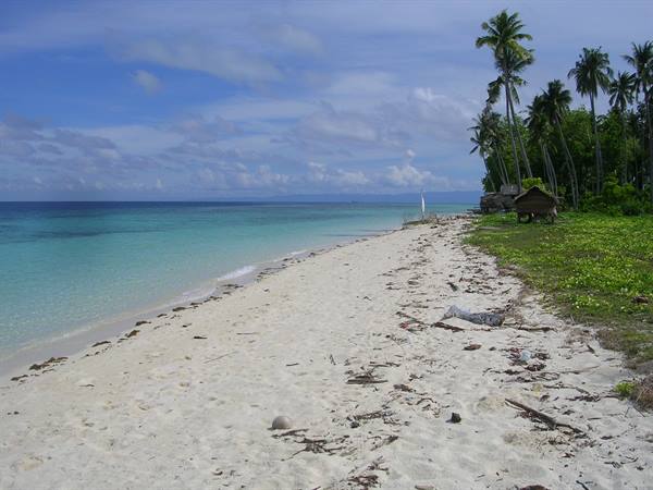 White sand beach with palm trees, driftwood seaweed and wooden huts