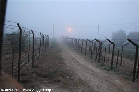 Dirt road between barbed wire fences in morning fog