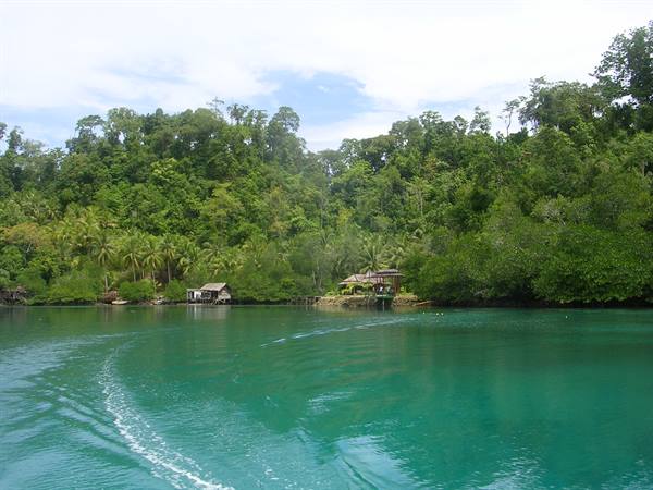 wooden houses on jungle shore, turquoise water with boat wake
