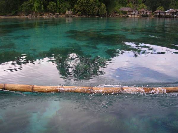 Bamboo pole floating on turquoise water, stilt houses among green trees