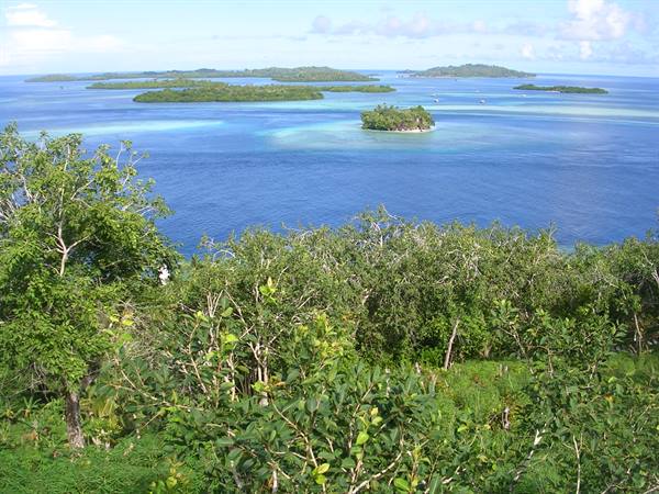 Green islets scattered across blue sea, tropical bushes in foreground
