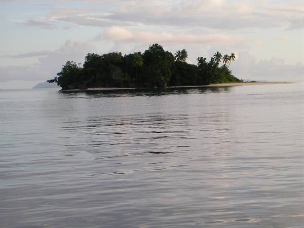 Small islet with palm trees and white sand, calm waters