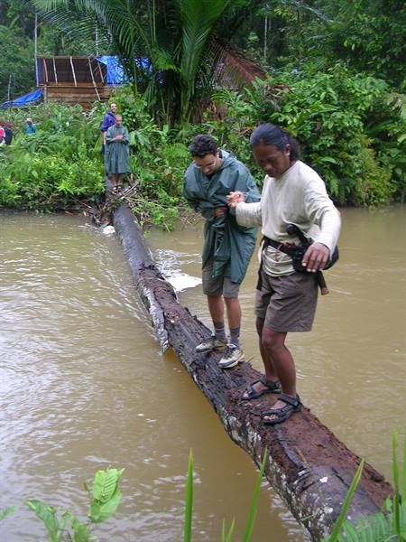 Tourists and guide balance across a fallen log over the muddy river