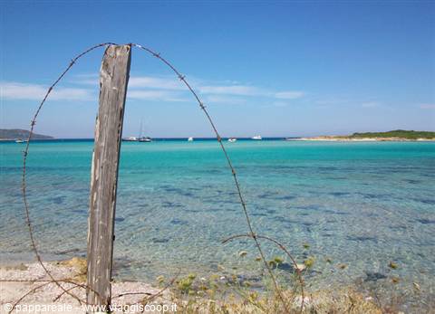 looking at the island of Piantarella