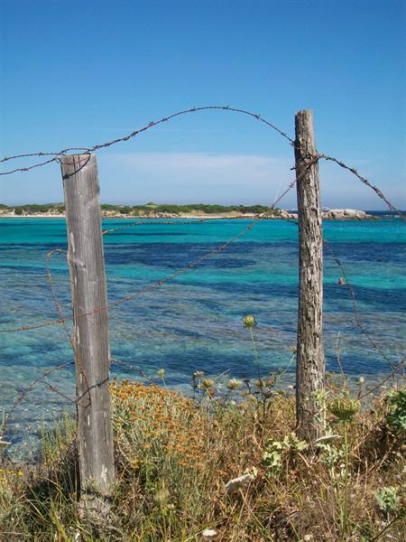 looking towards the island of Piantarella