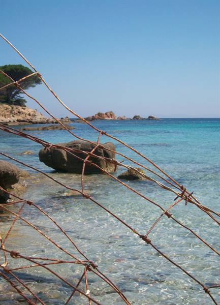 palombaggia south