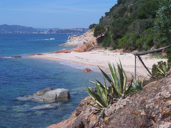 Sardinian beach with pink granite, agave plants and turquoise sea