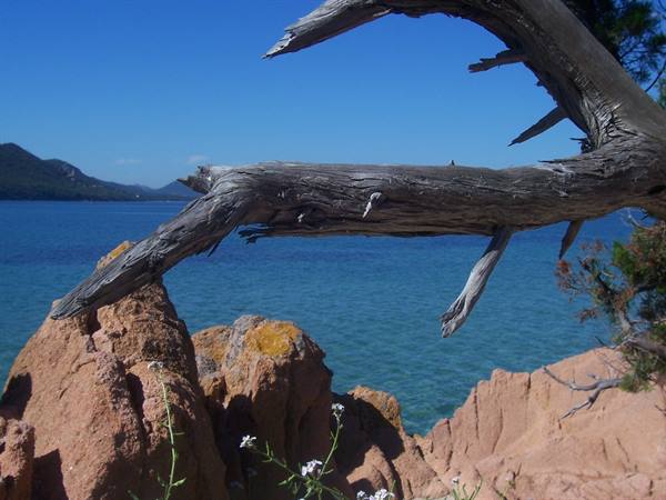 Weathered driftwood over red rocks, turquoise sea and mountains under blue sky