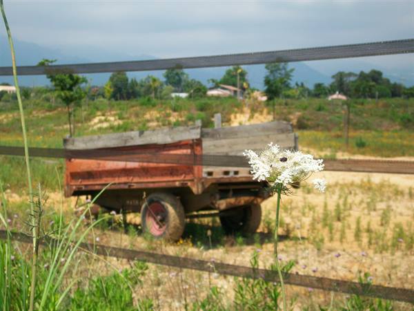country atmosphere