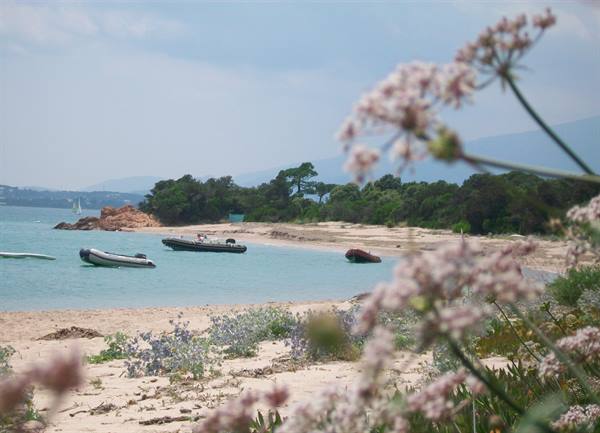 san benedettu north of golfo di sogno