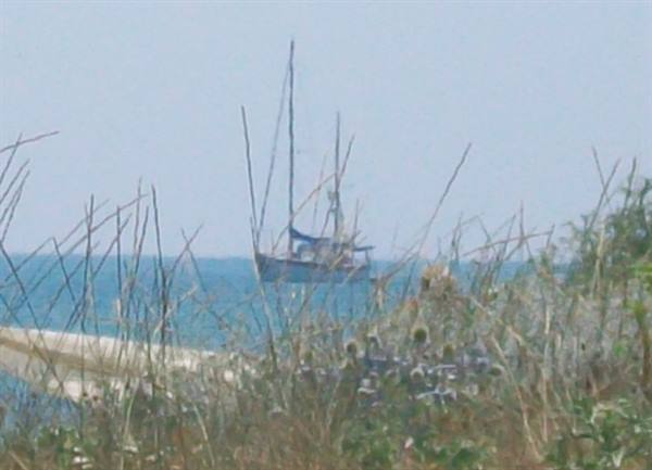sea view from rose marie
