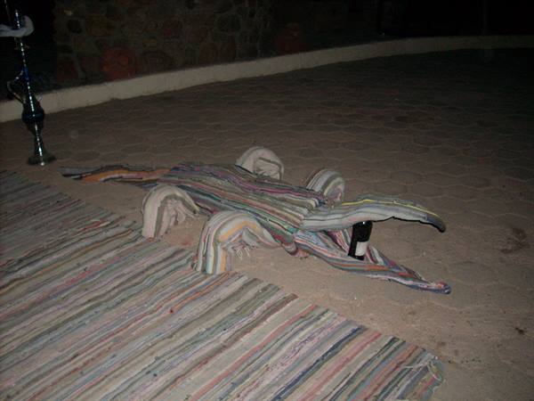 Crocodile