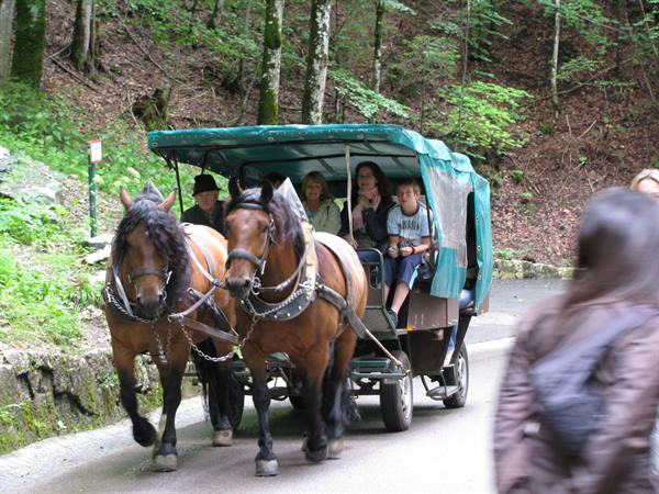 The carriage that takes you to the castle