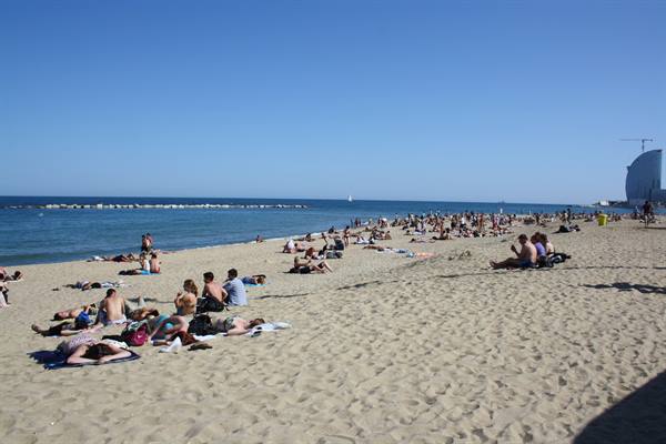 The beach