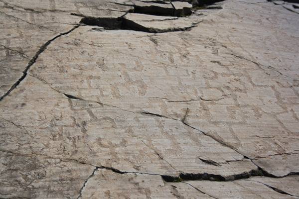 Rock carvings scattered across grey stone slab in daylight