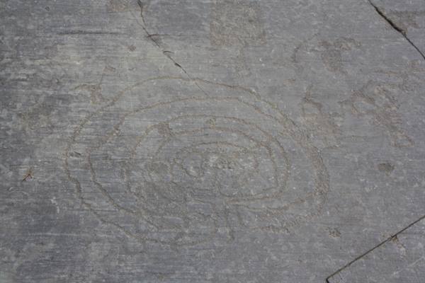 spiral carved into a grey stone slab, soft daylight