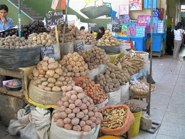 0492 Arequipa market