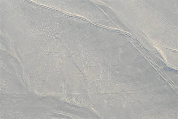 Nazca lines monkey