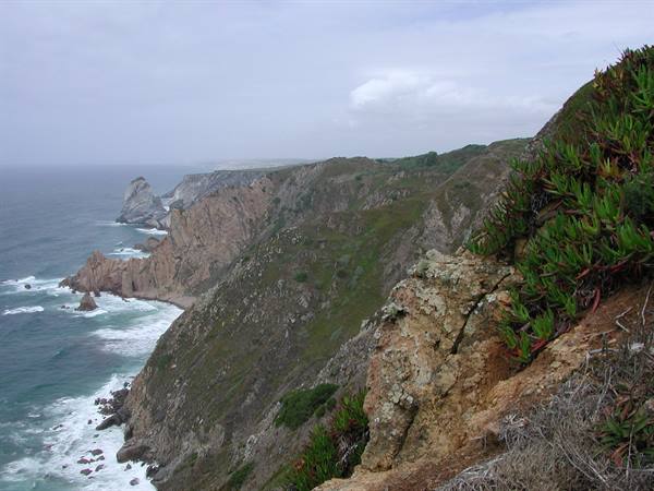 Granite cliffs and succulent plants over the Atlantic Ocean at Cabo da Roca