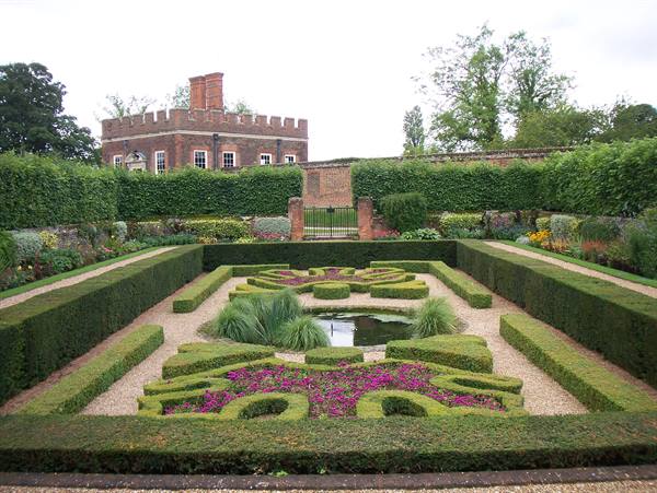 Formal garden with geometric hedges and purple flowers, behind Hampton Court Palace