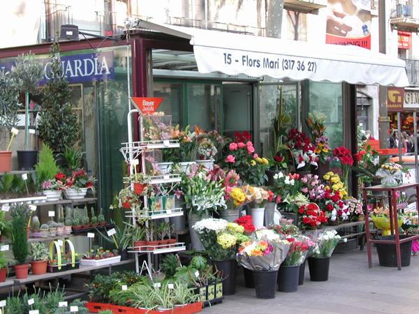 Flors Mari flower shop in Barcelona, colorful bouquets and pots under the awning