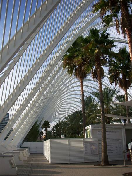L'Umbracle in Valencia: palm trees beneath Calatrava's white steel arch
