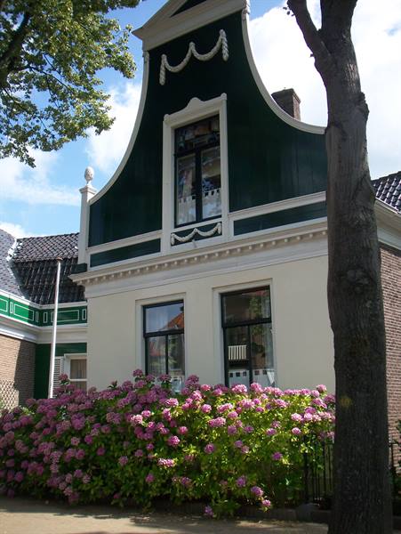 Green wooden facade with white gable and pink hydrangeas, Zaanse Schans