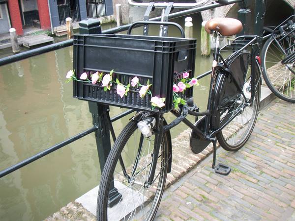 Black bicycle with a crate decorated with fake roses, parked along a canal