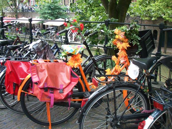 Bicycles decorated with orange flowers along a Utrecht canal