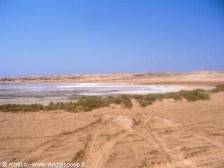 White salt lagoon among sandy dunes and green bushes in the desert