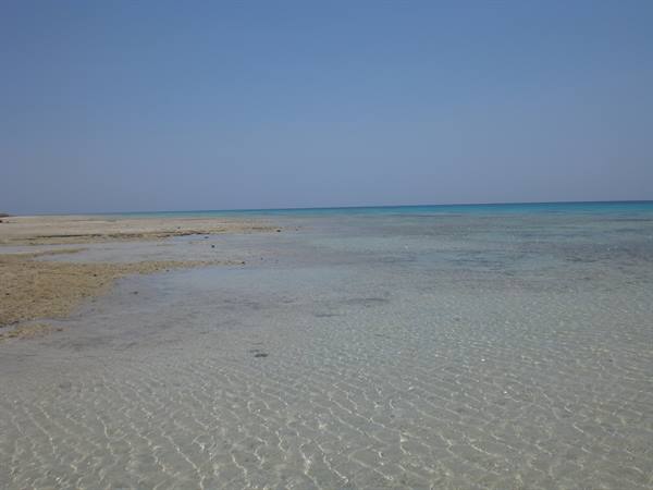 sharm el loli