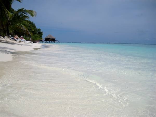 White sand beach with palms, sun loungers and stilt bungalows over turquoise water
